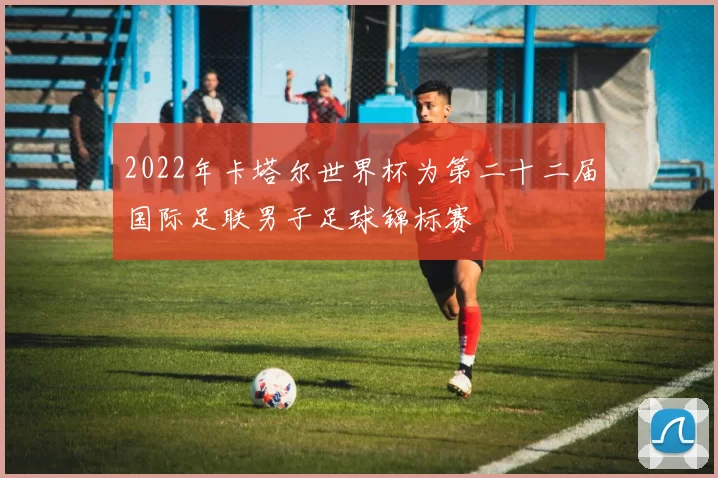 2022年卡塔尔世界杯为第二十二届国际足联男子足球锦标赛